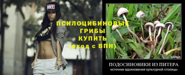 мескалин Туринск