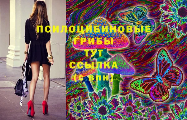 мет Тында