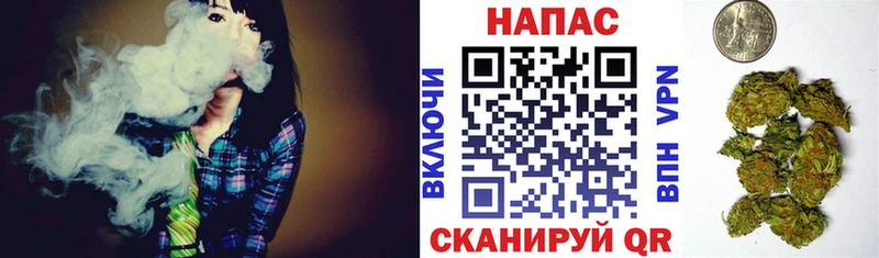 Канабис Ganja  Кувандык 